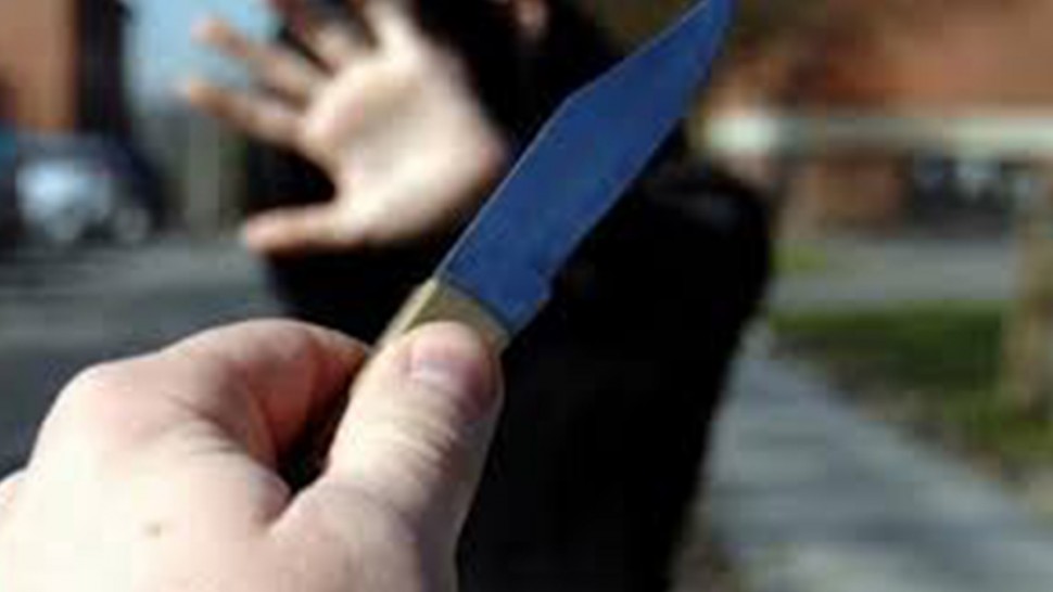 نابل: قاتل شقيقه في قبضة الأمن