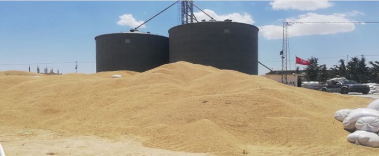 باجة : 17 ألف قنطار من البذور الممتازة تالفة جراء سوء التخزين