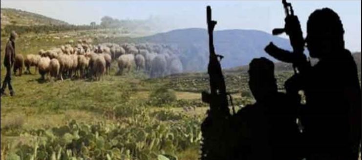 نقل جثة الراعي إلى المستشفى .. وهذا ما أثبتته التحريات الأولية