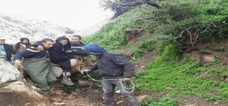 جندوبة: الحماية المدنية تنقذ مسنا حاصرته مياه وادي مجردة مع أغنامه