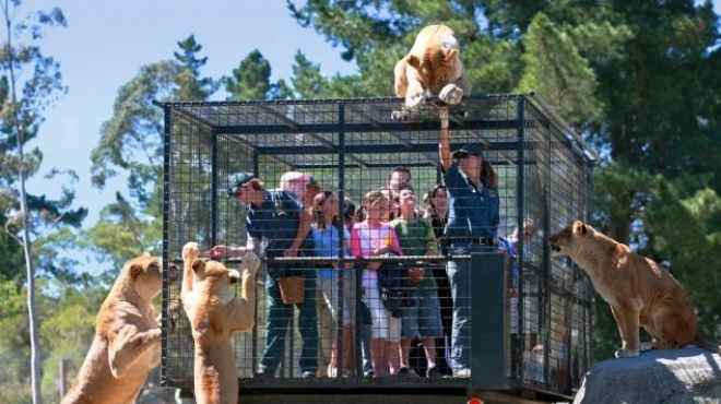 حديقة حيوان تضع البشر في اقفاص وتترك الحيوانات طليقة