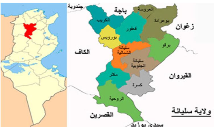 حدث في “تونس الأمن والأمان”: سرقوا قطيع الغنم واختطفوا زوجة الفلاح !