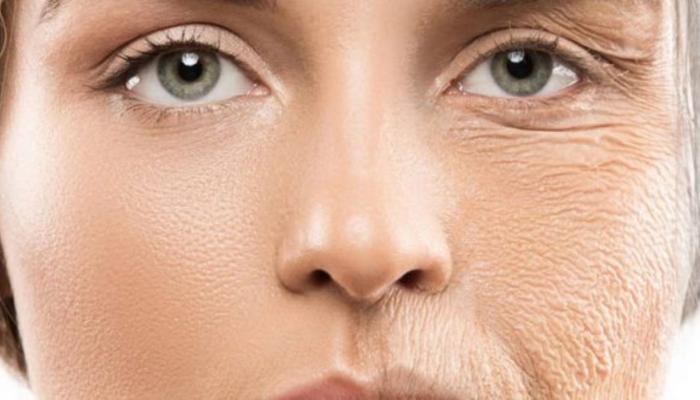 علماء يطورون جيناً يبطل الشيخوخة