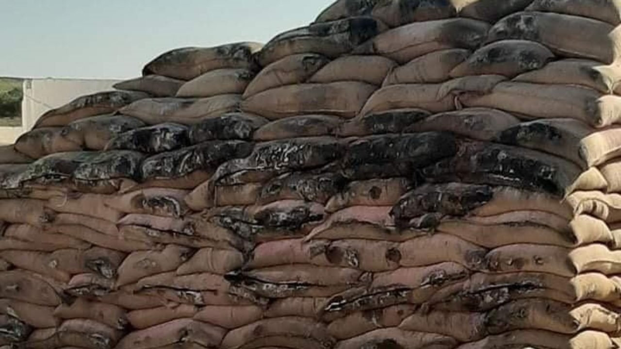 قضية القمح الفاسد بقبلاط: مسؤولون سابقون وحاليون في التحقيق