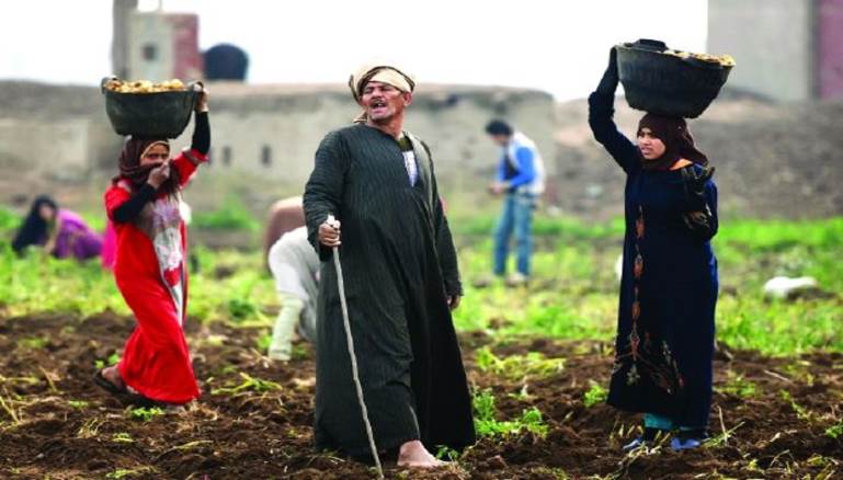 قناة مصرية تعتذر لمتابعيها بسبب العنصرية