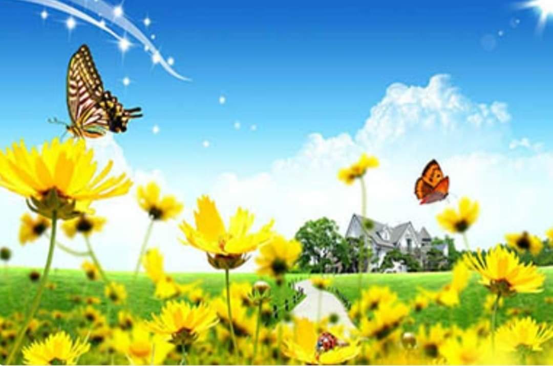 اليوم أول أيام الربيع، حسـب التقويم الفلاحي