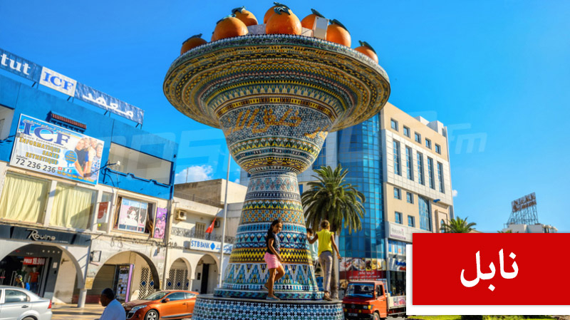 أصحاب مراكز التنشيط السياحي يحتجون في نابل