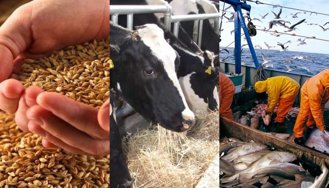 اجتماع لجنة 5+5 بحضور المشيشي استعدادا لشهر رمضان (فيديو)