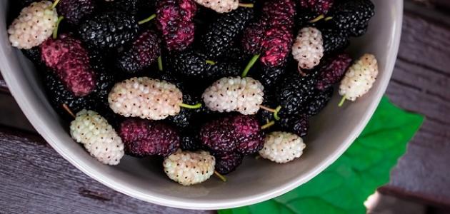 5 أطعمة تطيل العمر