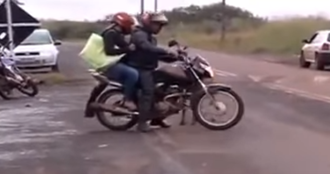 لا تعبث مع الحيونات !!! مواقف طريفة و بعضها خطير