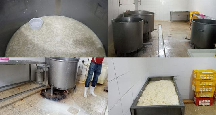 الكشف عن مصنع عشوائي لصناعة الأجبان بسيدي حسين