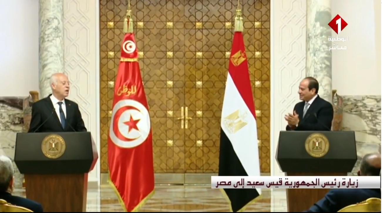 المؤتمر الصحفي المشترك بين قيس سعيد وعبد الفتاح السيسي (فيديو)