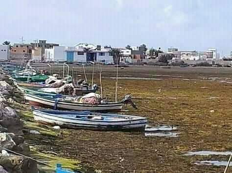 680 كغ من الزطلة بين مراكب بحارة في الشابة