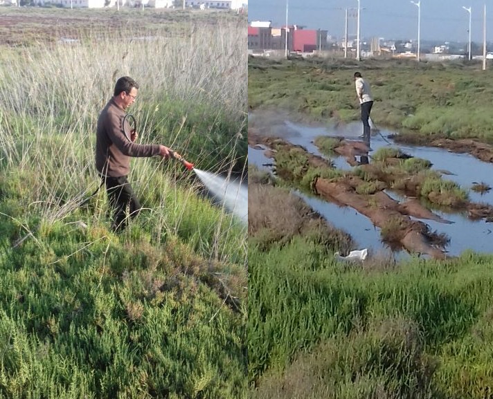 وزارة البيئة/ إزعاج ”الناموس” سينتهي قريبا