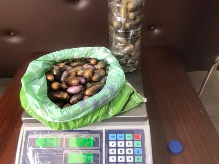 القبض على أفارقة يهرّبون الزطلة في أمعائهم