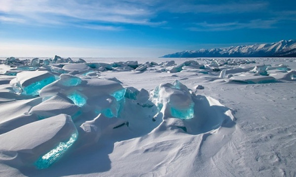 يعود إلى الحياة بعد أن ظل مجمدا طيلة 2400 عام