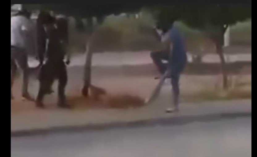 منصة “تونس تتحرى” تفند الرواية الرسمية عن “فيديو شاب سيدي حسين”
