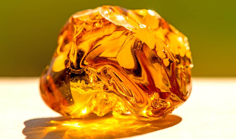 جثة حوت تحول حياة صيادين فقراء الى ثراء فاحش (التفاصيل)