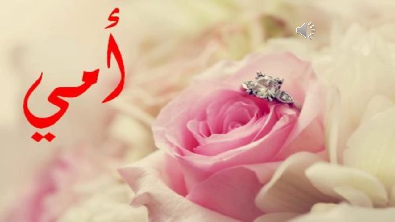 رسالة إلى أمي رسالة إلى أمي