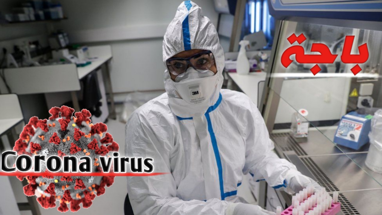 باجة/ تأخر انطلاق عمل المستشفى الميداني لهذا السبب باجة/ تأخر انطلاق عمل المستشفى الميداني لهذا السبب