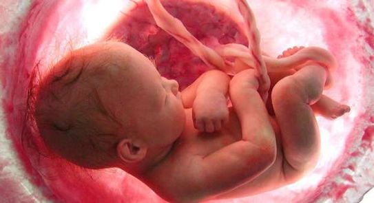 فظيع/ العاصمة: طفلة تحمل من شقيقها المراهق بعد أن اغتصبها في الشهر الفضيل فظيع/ العاصمة: طفلة تحمل من شقيقها المراهق بعد أن اغتصبها في الشهر الفضيل