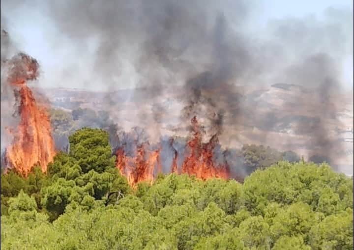 الوسلاتية/ جهود متواصلة لإخماد حريق.. والأهالي يستغيثون الوسلاتية/ جهود متواصلة لإخماد حريق.. والأهالي يستغيثون