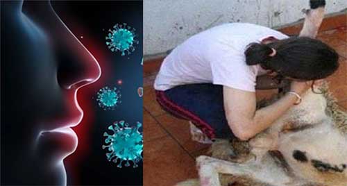 وزارة الصحة تحذر من إمكانية تسرب كورونا للحم أضحية العيد وزارة الصحة تحذر من إمكانية تسرب كورونا للحم أضحية العيد