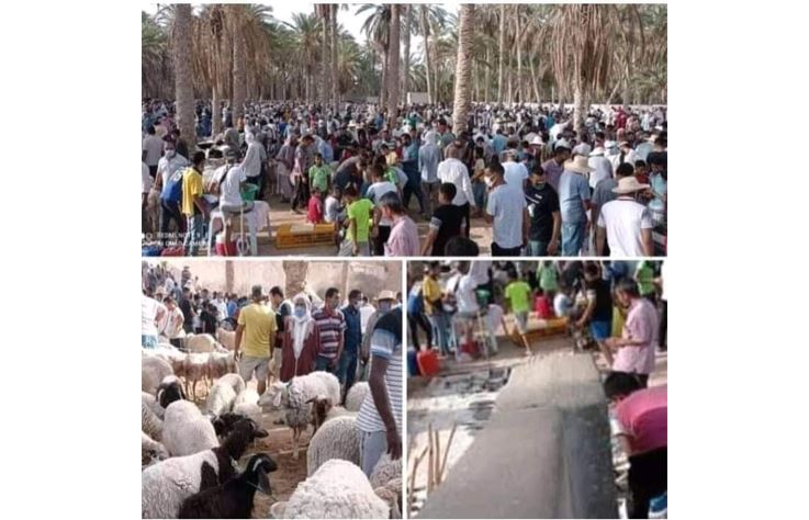 “جماهير” في نقطة بيع الأضاحي  (صور)