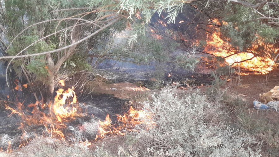 اندلاع حرائق بجبل سمامة يثير هلع المتساكنين