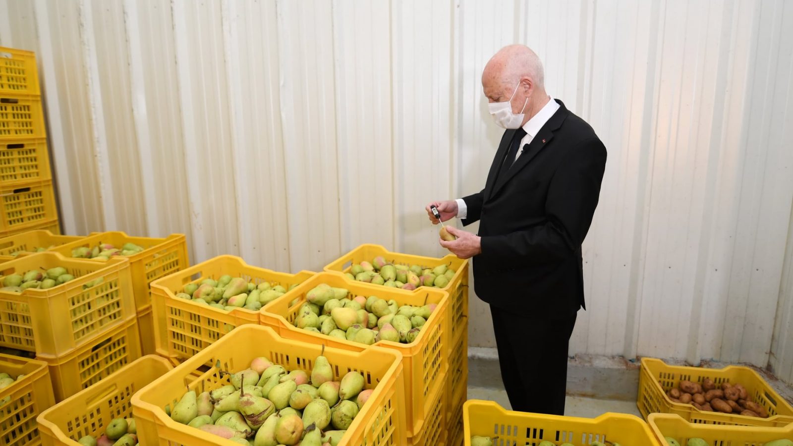 بعد زيارة قيس سعيّد/ قرارات تهمّ مخازن تبريد منتوجات الفلاحة والصيد البحري