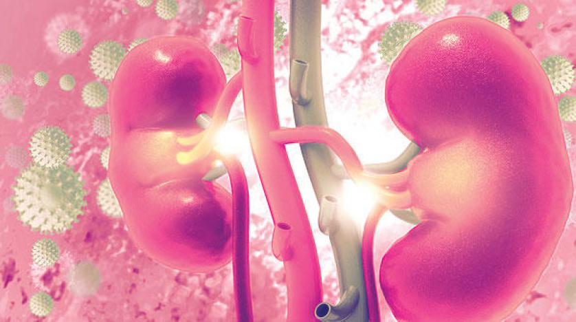 لماذا يهدد التهاب المسالك البولية النساء أكثر من الرجال؟ وماذا يجب أن نفعله؟