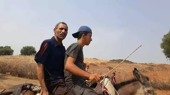 فيصل التبيني: هذا هو السبب الحقيقي لإيداعي السجن