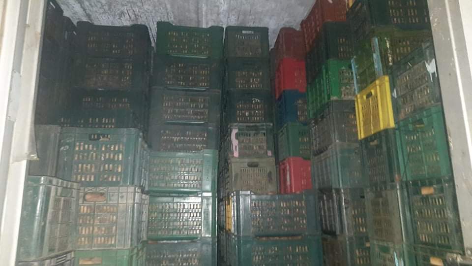 حجر 130طنا من البطاطا اثر مداهمة مخزن تبريد عشوائي(صور)