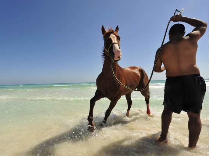 مواجهة خطيرة بين شرطي ورجل يمتطي جوادا (فيديو)