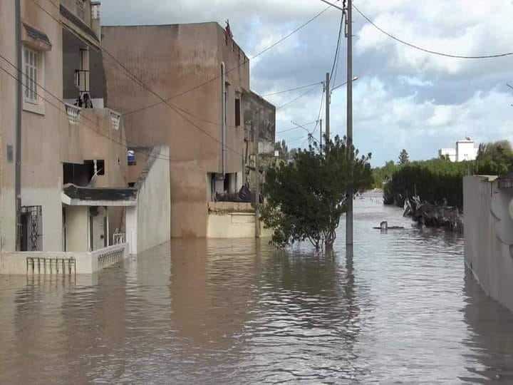 كميات الأمطار في الـ 24 ساعة الماضية