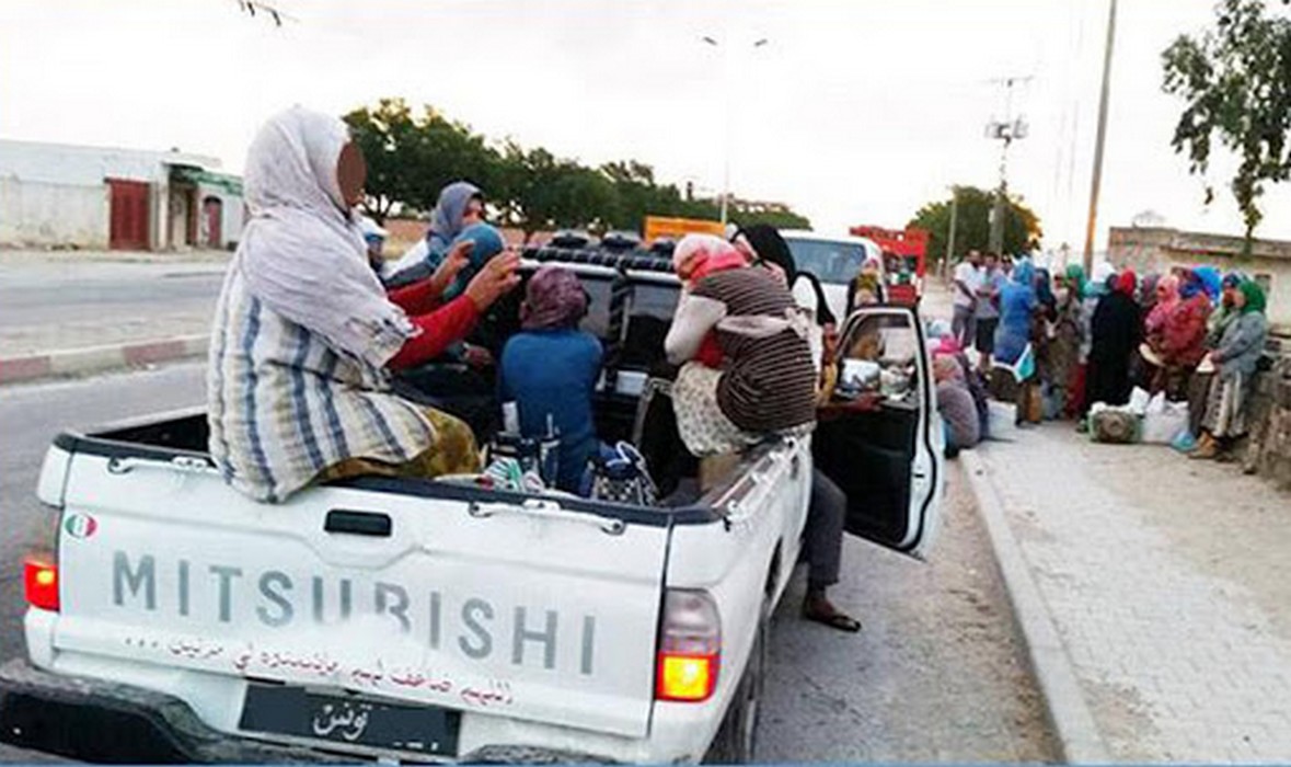 نقل عملة الفلاحة: عقد إطاري مشترك بين وزارتي النقل والمرأة