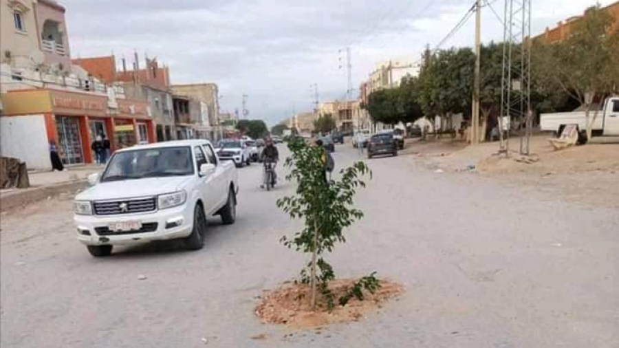 أهالي هذه المنطقة يزرعون الاشجار في الطريق… السبب