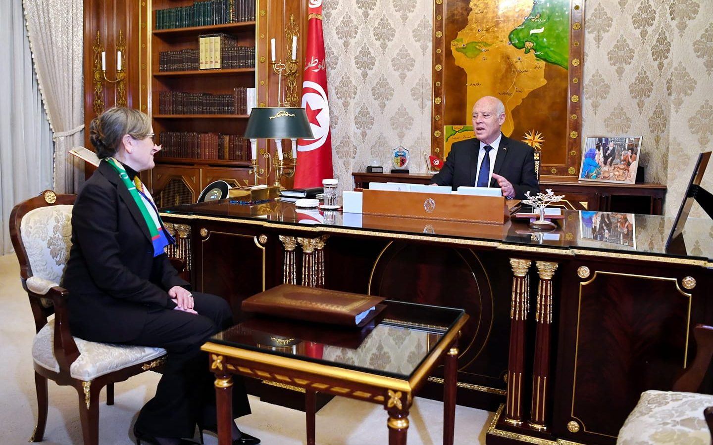 هذا ما تناوله لقاء قيس سعيد برئيسة الحكومة (فيديو)