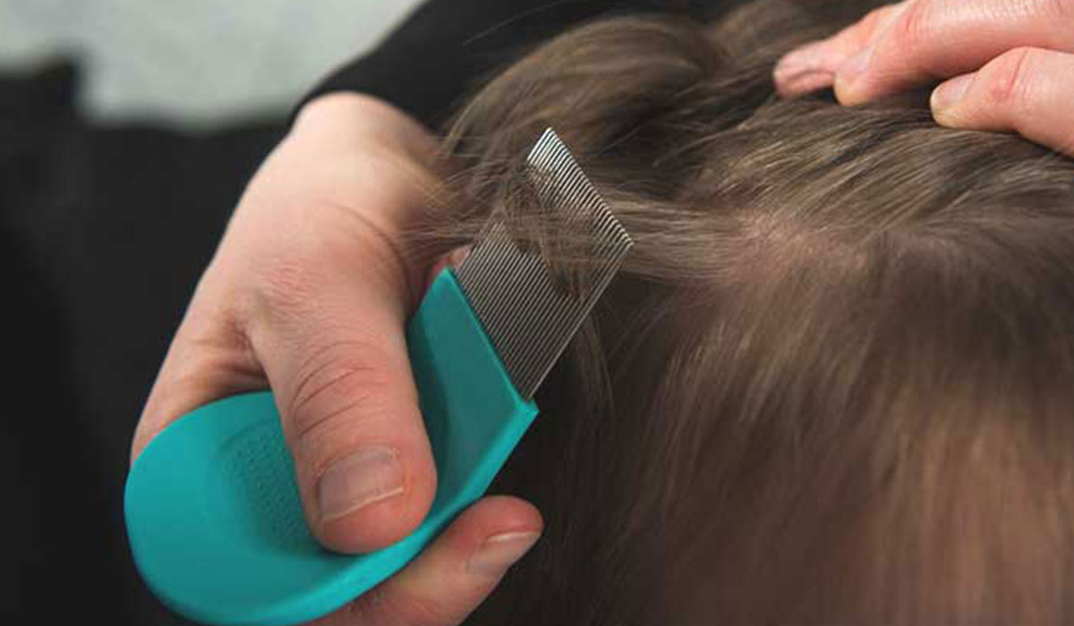 قمل داخل المؤسسات التربوية بنابل/ هذا ما قالته المديرةالجهوية للصحة