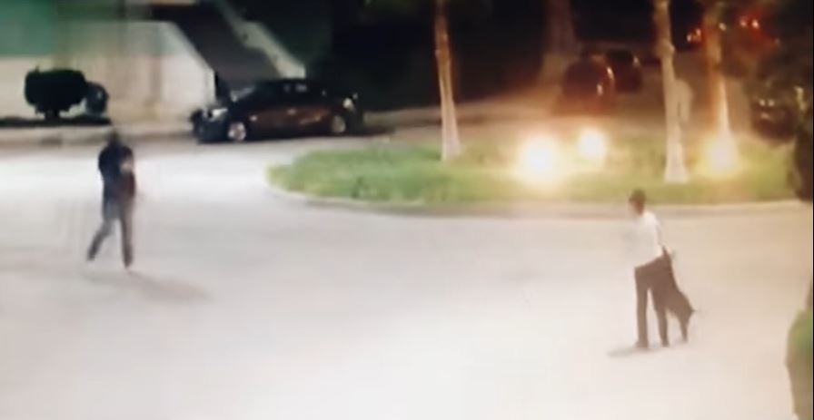 شاهد الفيديو/ لحظة مهاجمة كلب لفنانة مصرية مشهورة