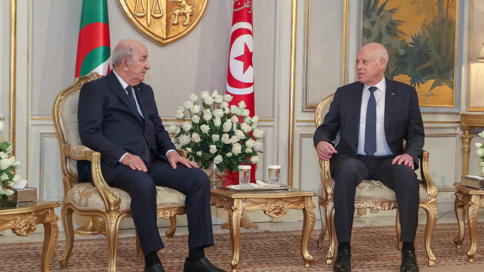 صور/ سعيّد: زيارة تبون ستكون فاتحة لصفحة جديدة في مسار العلاقات بين البلدين