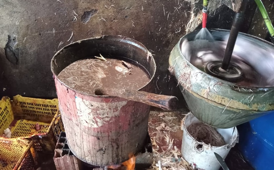 صور/ هل من “خمجِِ” أكبر من هذا؟