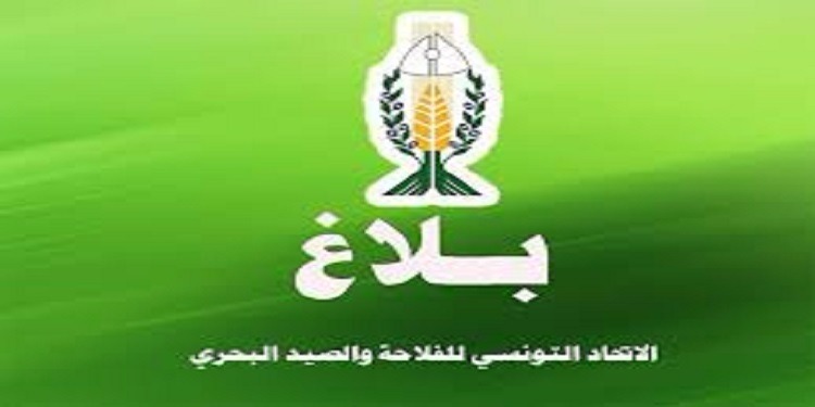 أزمة المياه/ اتحاد الفلاحة يدعو إلى فتح حوار عاجل