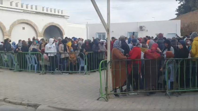 انطلاق عمليات التلقيح المكثف