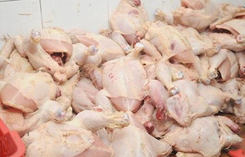 جندوبة/ إتلاف 120 كغ من لحوم الدجاج