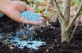 اتحاد الفلاحين ينبّه من التهاون في مراقبة مسالك توزيع الأمونيتر