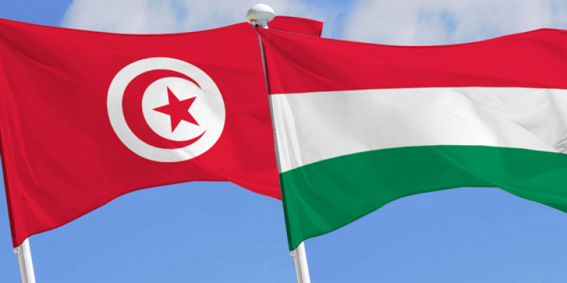 سفارة تونس بالمجر/ خلية أزمة لمتابعة إجلاء التونسيين من أوكرانيا سفارة تونس بالمجر/ خلية أزمة لمتابعة إجلاء التونسيين من أوكرانيا