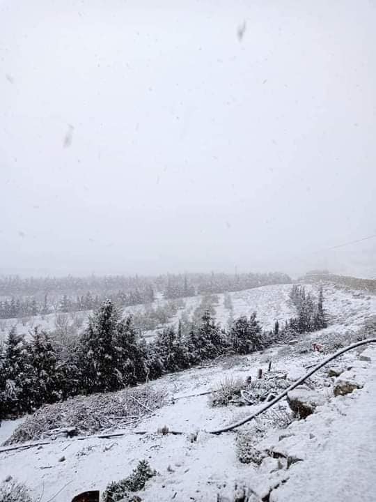 تساقط الثلوج في المرتفعات بجندوبة (صور) تساقط الثلوج في المرتفعات بجندوبة (صور)