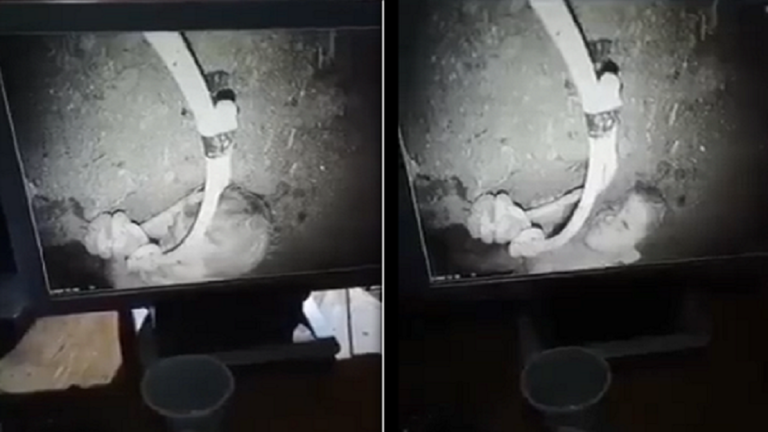 شاهد/ فيديو جديد للطفل ريّان