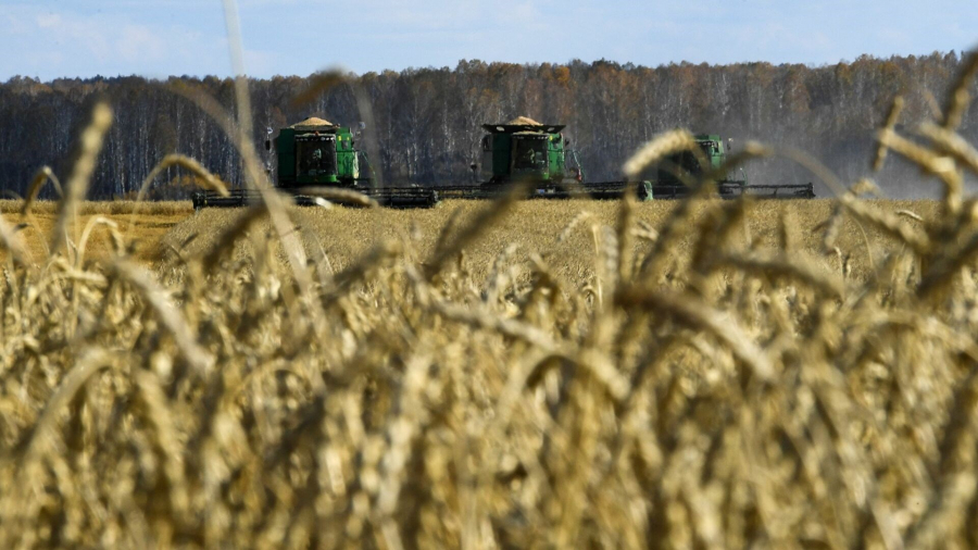 روسيا: لن نصدر الغذاء والمحاصيل إلّا إلى الدول الصديقة